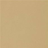Valencia konstläder / vinyl – Champagne