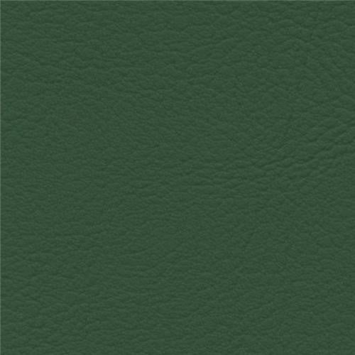 Valencia konstläder / vinyl – Grün