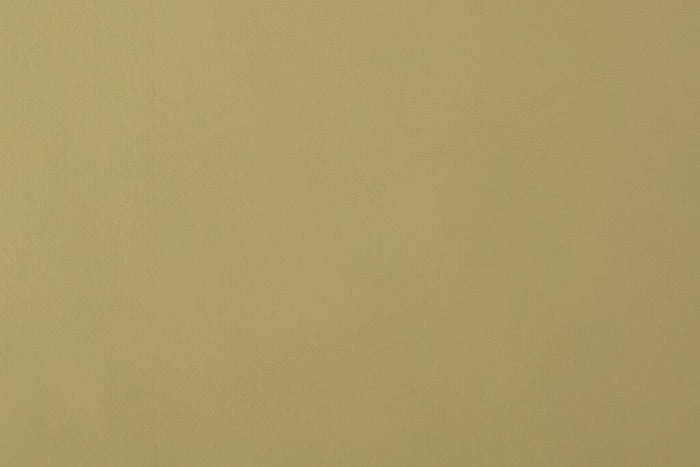 Allante konstläder / vinyl – Parrot 898